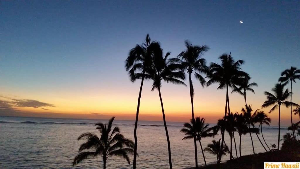 Amazing Beachfront Condo By Pool * Hau'ula